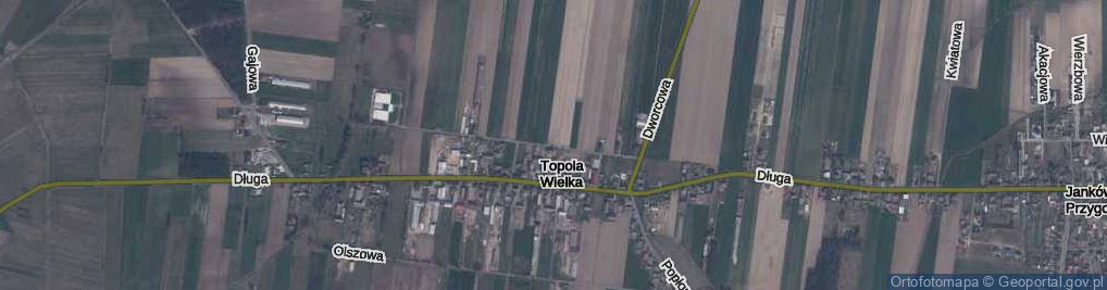 Zdjęcie satelitarne Topola Wielka ul.